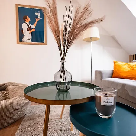 Moderne T2 Centre Sauna Wifi Office Netflix Strasburg