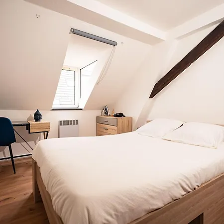 公寓 Moderne T2 Centre Sauna Wifi Office Netflix 斯特拉斯堡